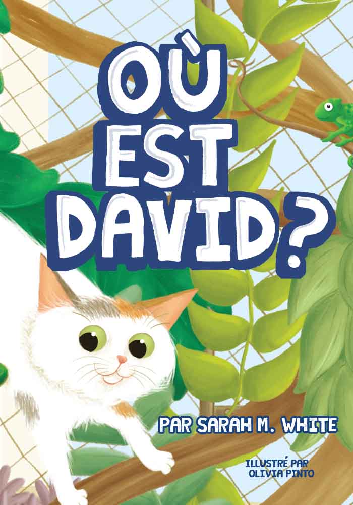 Où est David ?
